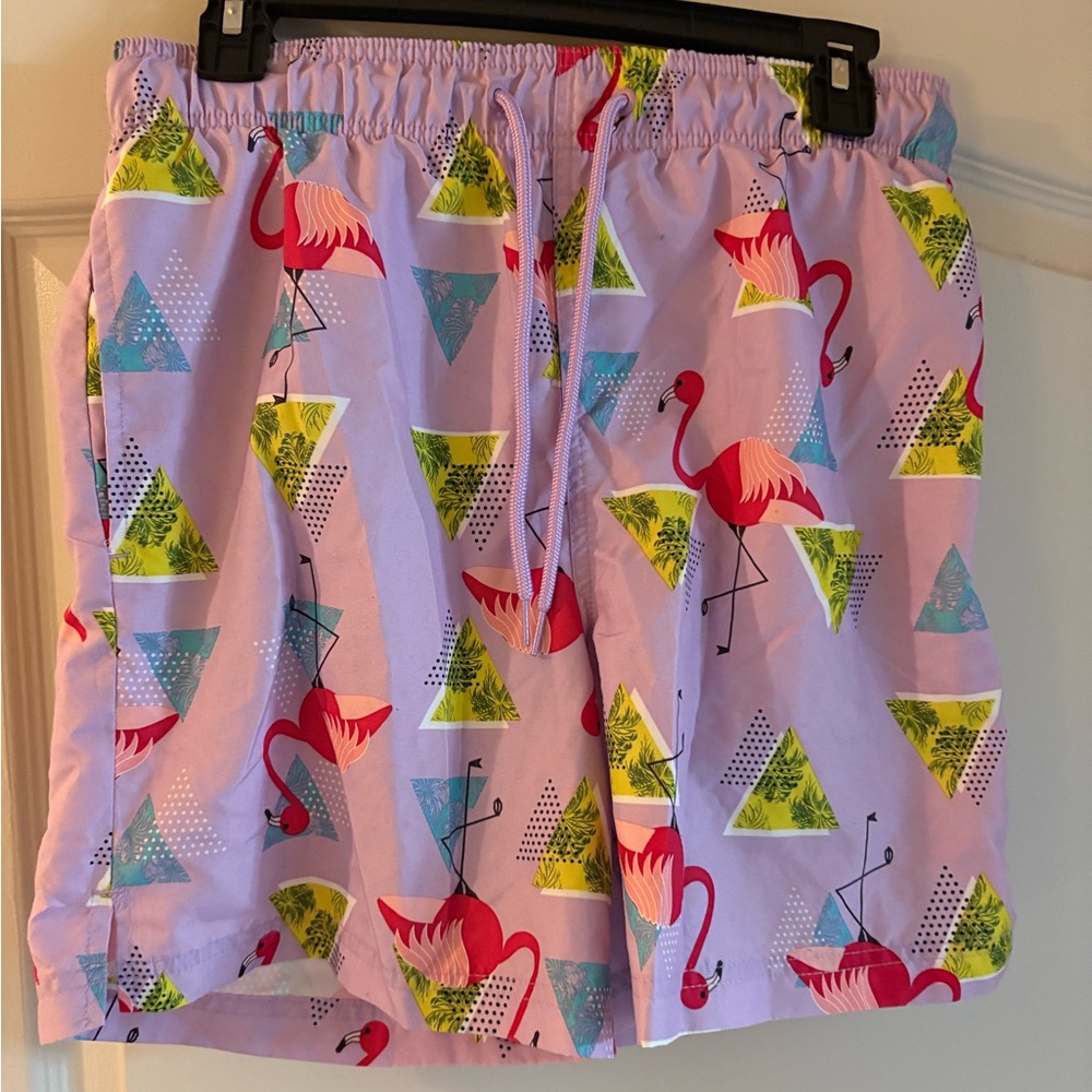 Men’s Flamingo Print Swim Shorts